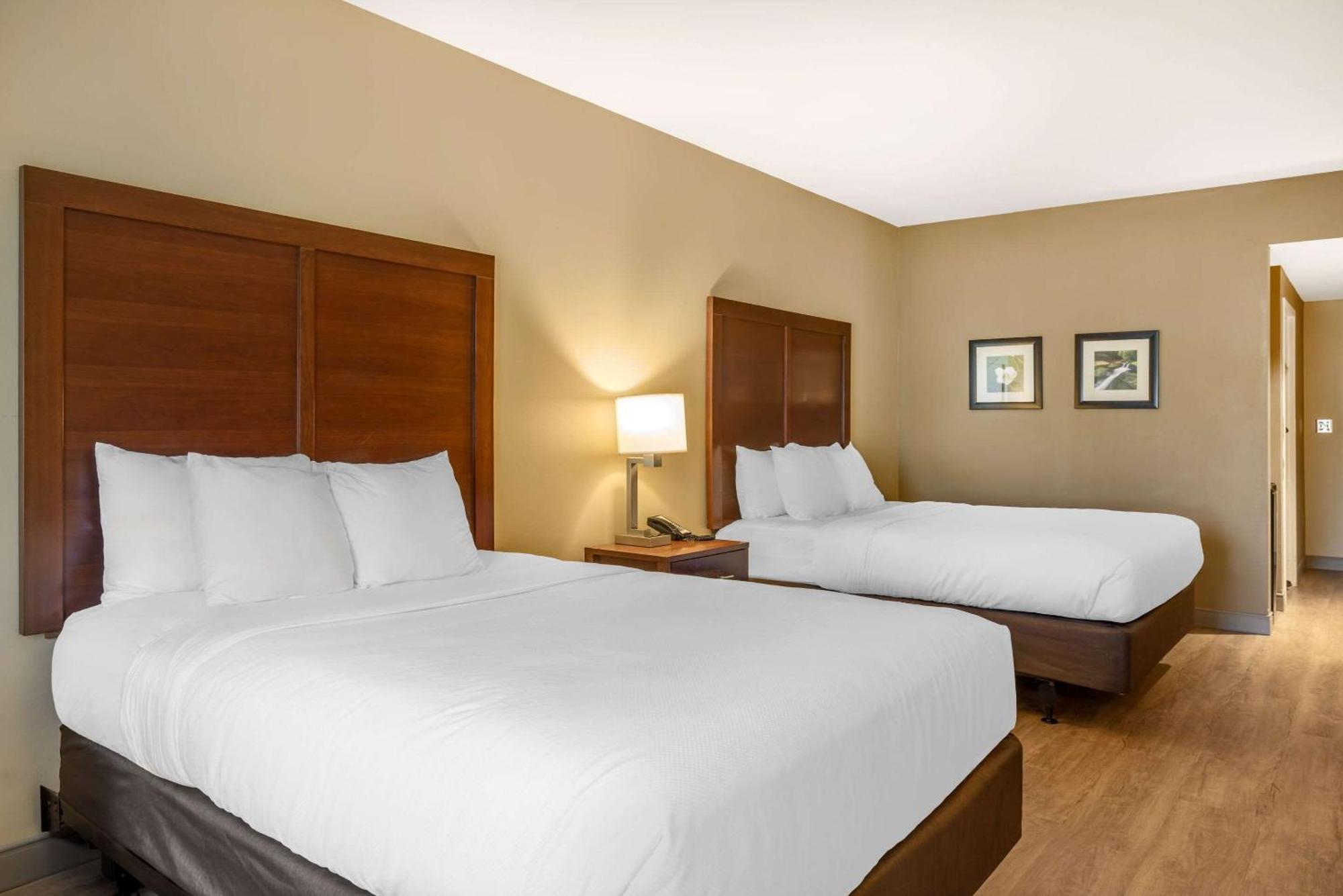 Comfort Inn & Suites At Crossplex Village Бирмингем Экстерьер фото